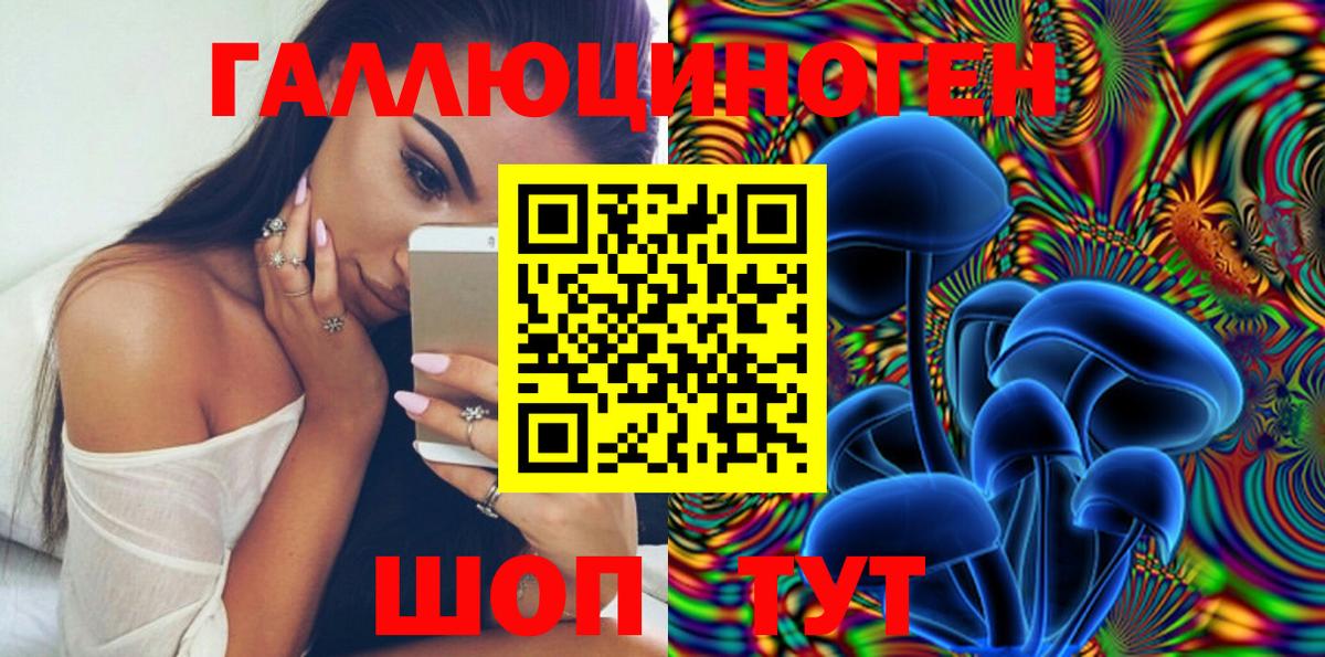 Новороссийск  Галлюциногенные грибы Magic Shrooms  Вход с VPN 